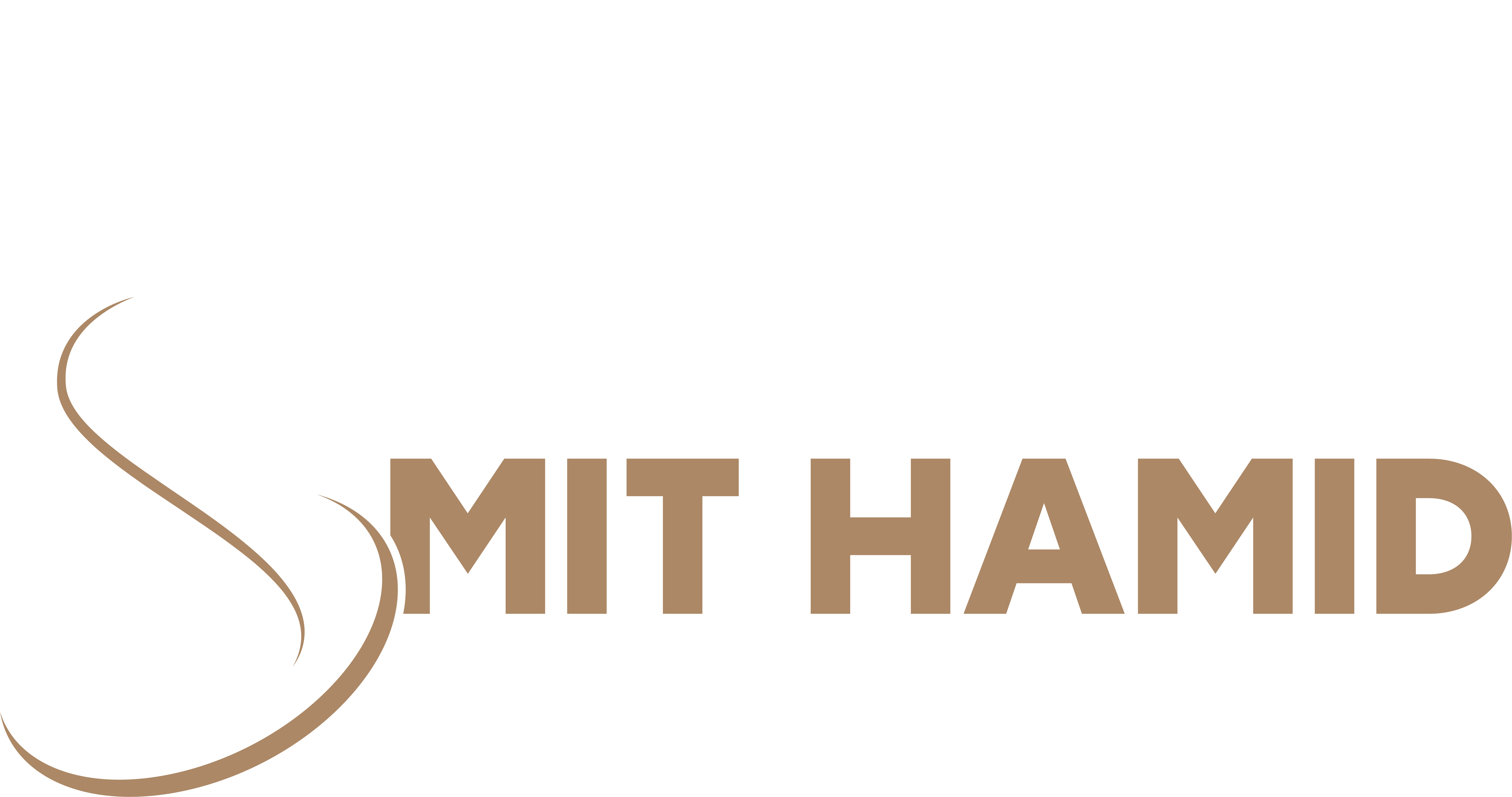 Auswandern Mit Hamid Logo weiß